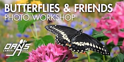 Butterfly Photography Workshop - afternoon session