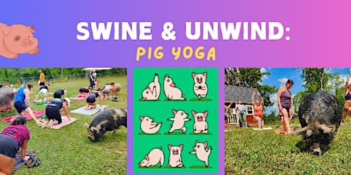 Swine and Unwind: Pig Yoga