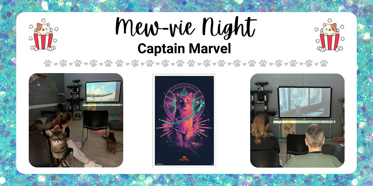 Mew-vie Night: Captain Marvel