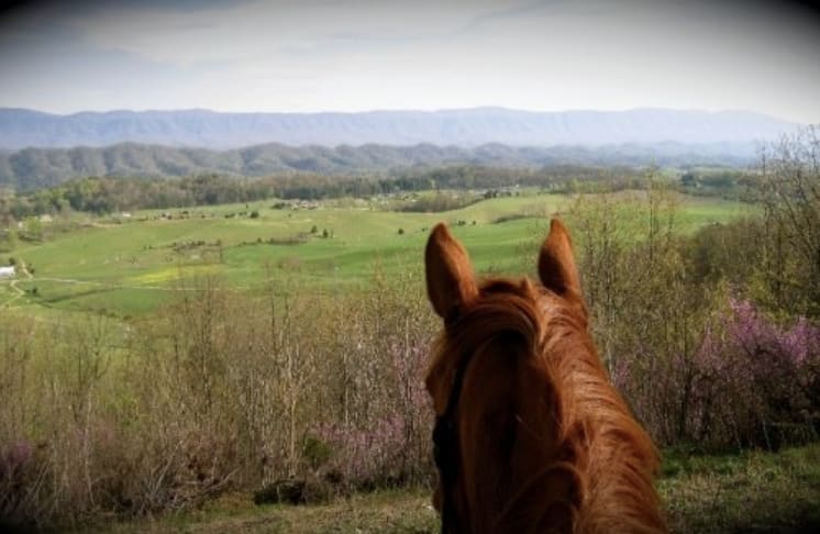 Magna Vista Farm