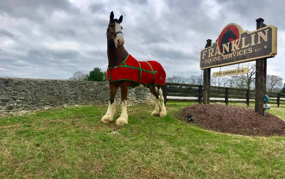 Franklin Equine Services LLC