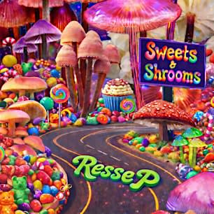 Sweets and Shrooms Immersive Release Party