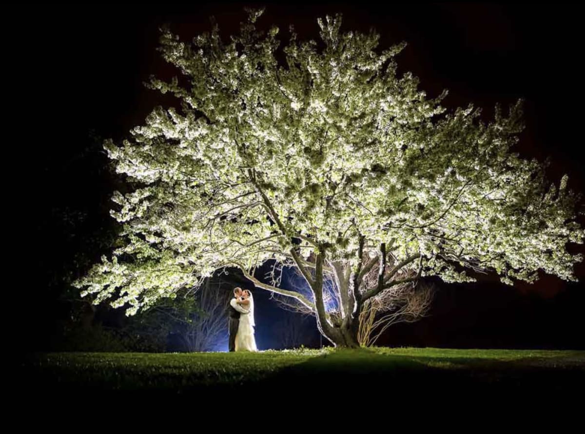 David Champagne Photography
