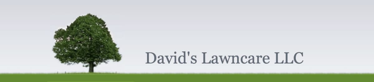 David's Lawncare LLC