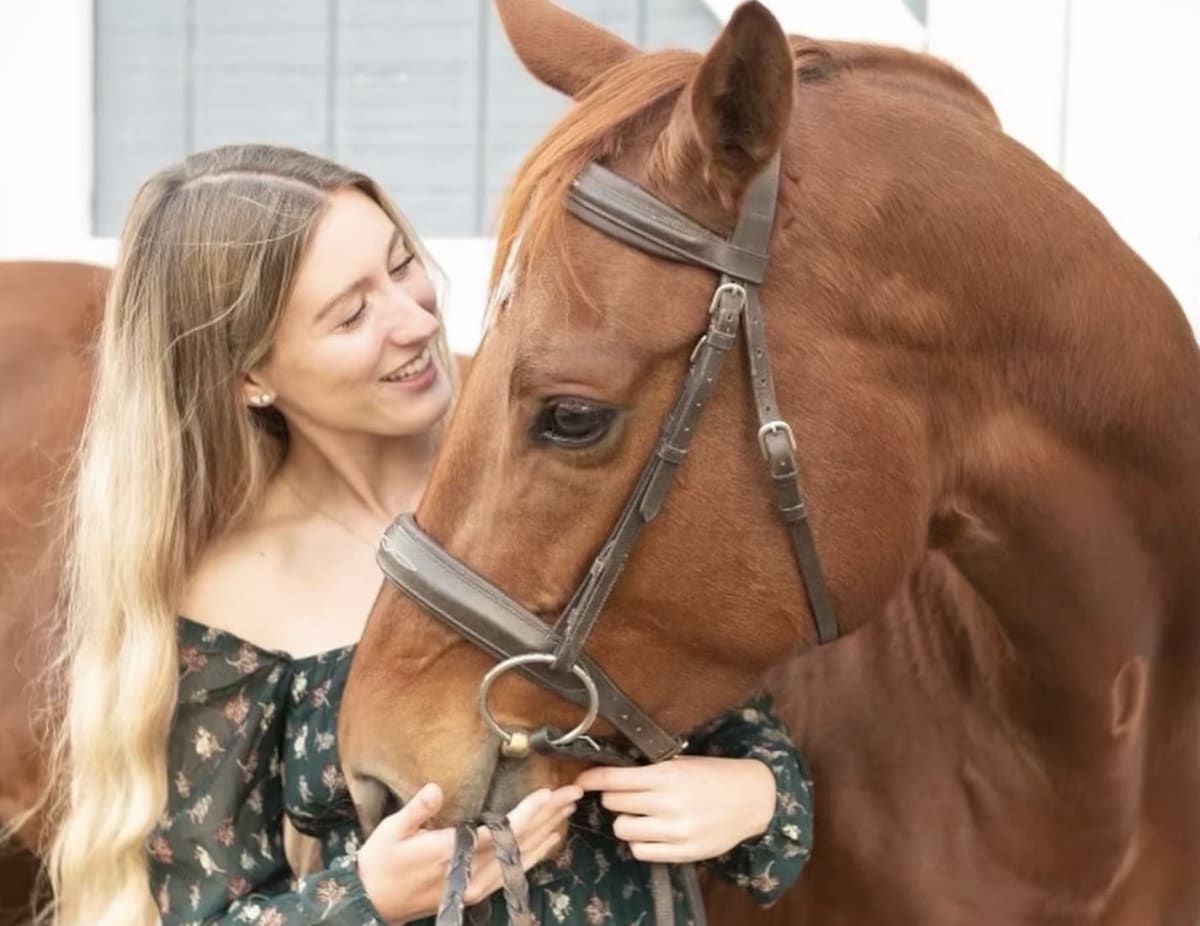 Ellis Equestrian Services LLC