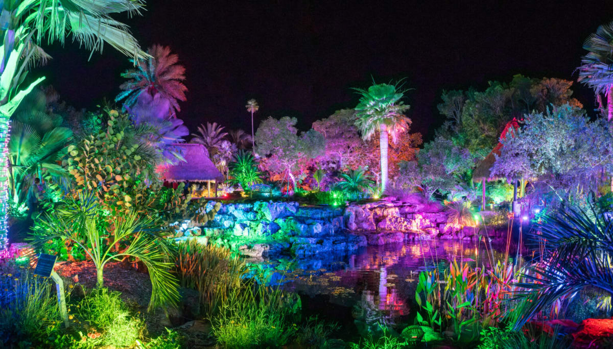 Johnsonville Night Lights in the Garden