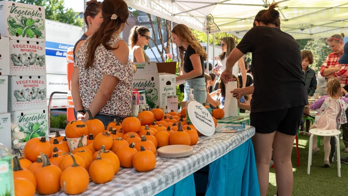 Mosaic Fall Fest