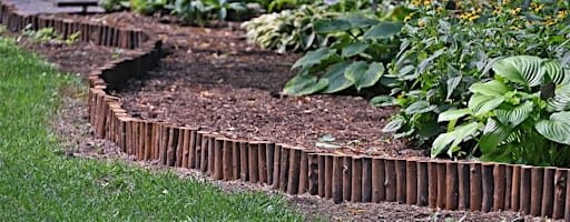 Arboretum Hosta Garden Tour