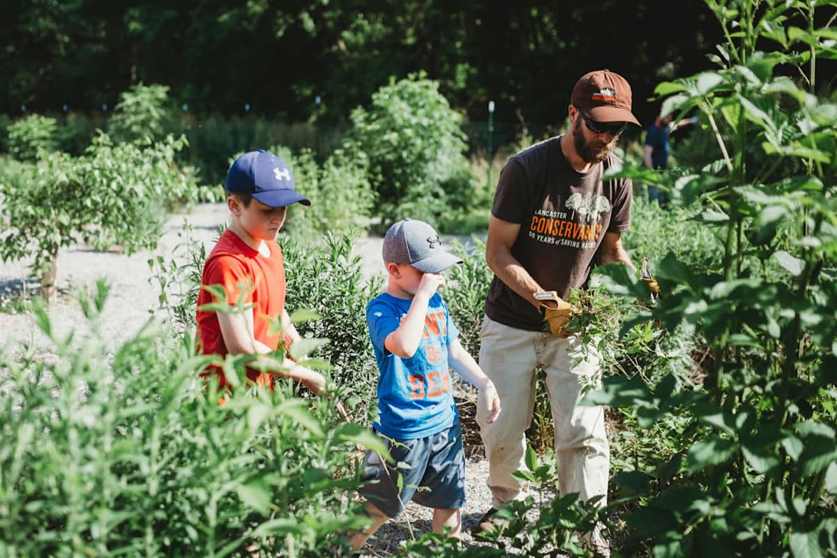 Falmouth Forest Garden and Conoy Wetlands Guided Nature Hike