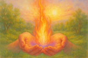 Certified Usui/Holy Fire ® III Reiki Master