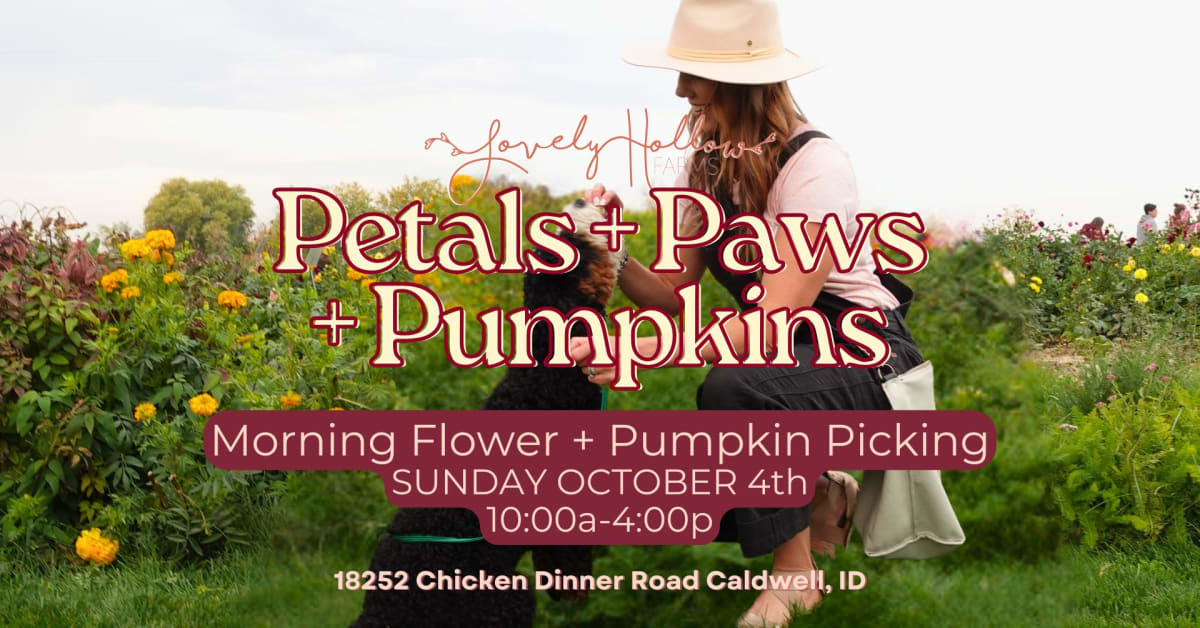 Petals + Paws + Pumpkins