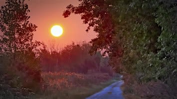 Sunrise Trip to Cedar Point National Wildlife Refuge
