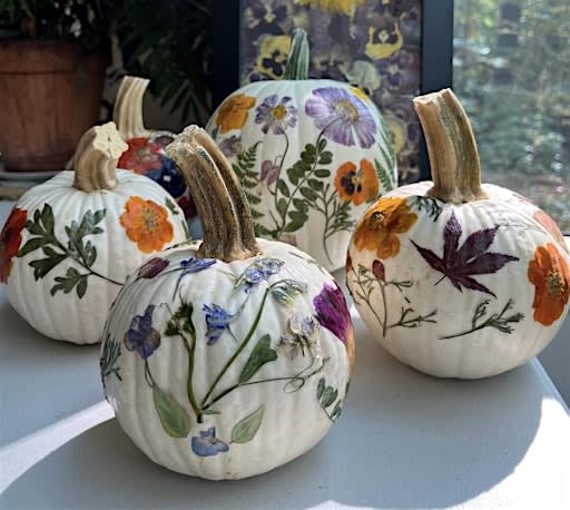 Pressed Flower Pumpkin Making