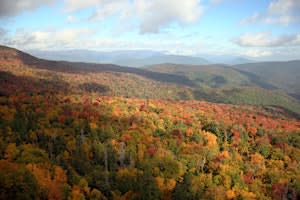 Chiaroscuro by Carissa, a Catskills Photography Event
