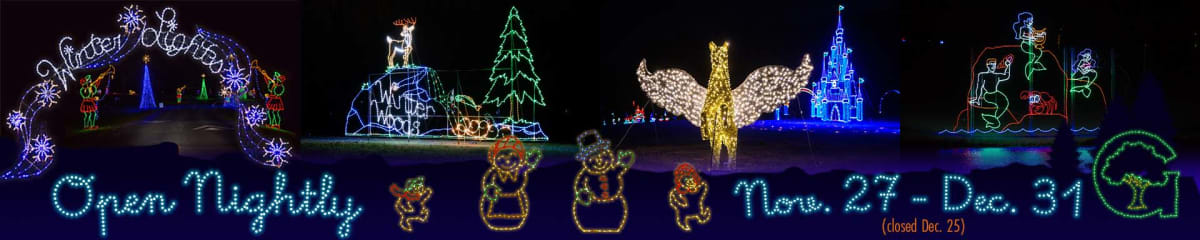 Winter Lights Festival