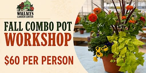 Fall Combo Pot Workshop