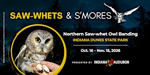 Saw-Whets & S'mores: Indiana Dunes