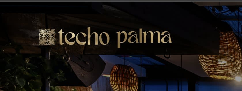 Techo Palma