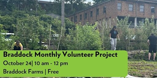 Braddock Monthly Volunteer Project