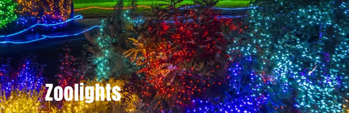 Zoolights