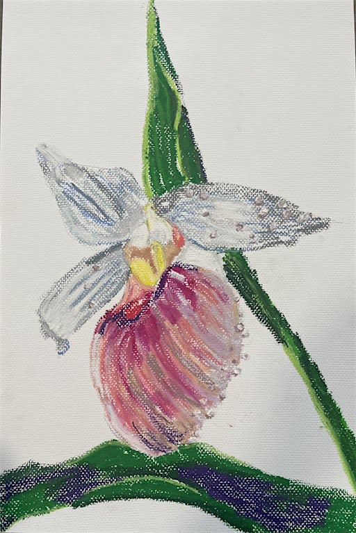 Oil Pastels Class
