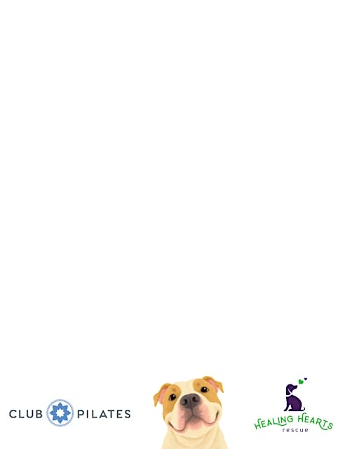 Puppies, Pints, and Pilates at The Howe
