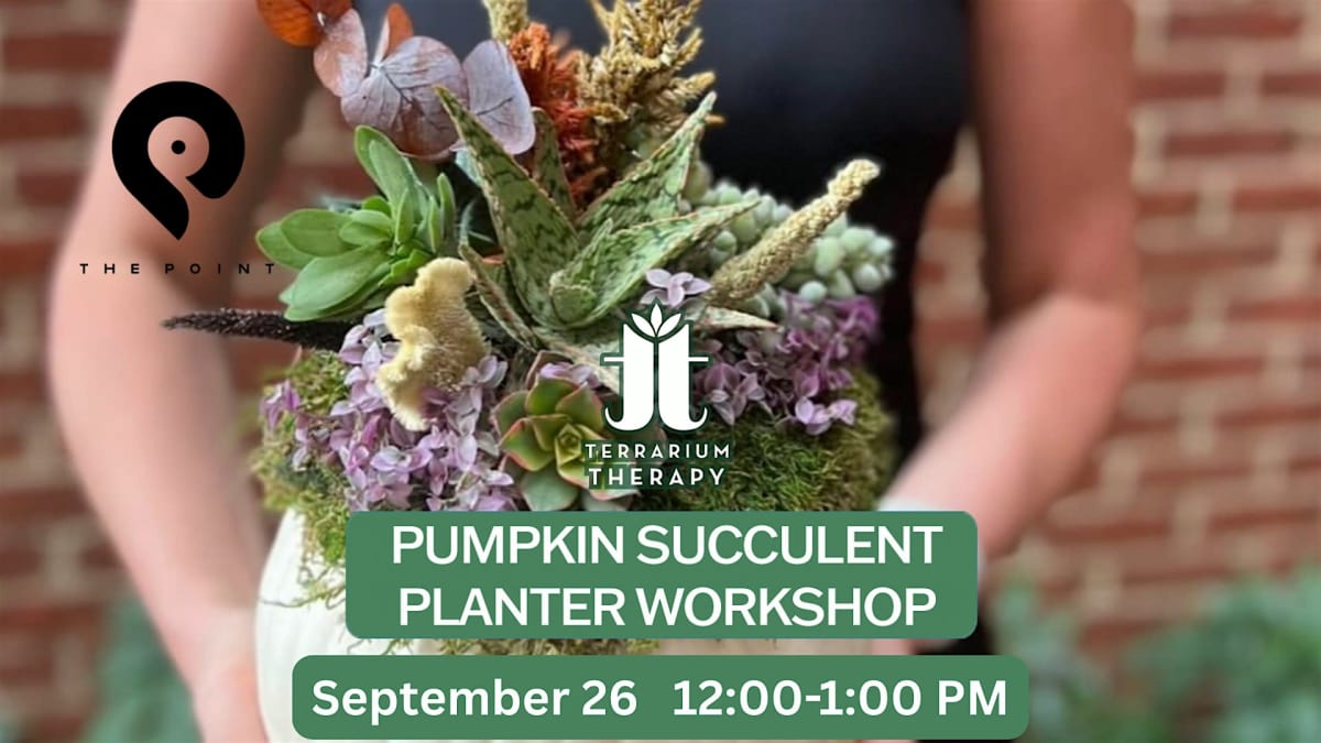 Pumpkin Succulent Planter Workshop at The Point in Towson