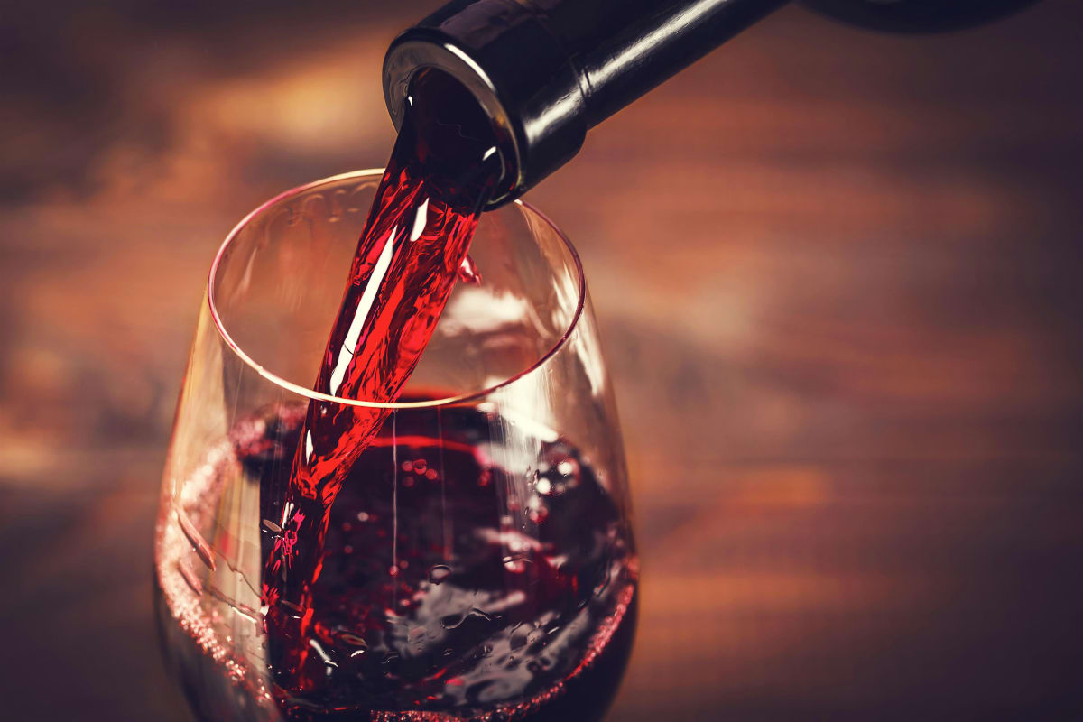 Weekday Wine Down: Experience Fine Wine and Delicious Food