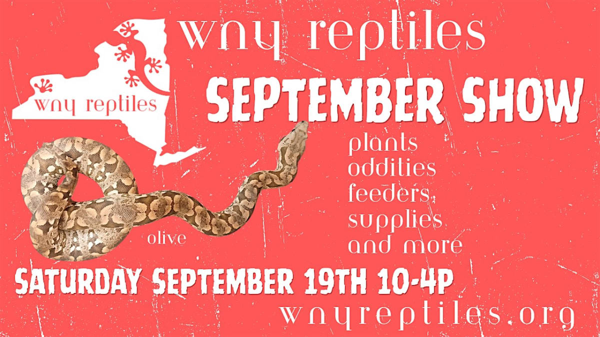WNY Reptiles September Show 2026