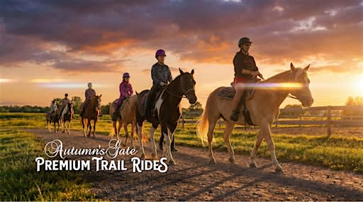 Premium Horseback Trail Ride