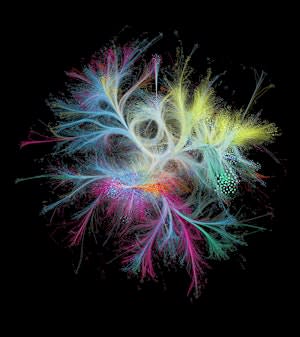 Hidden Patterns: The Visual Journey of Networks