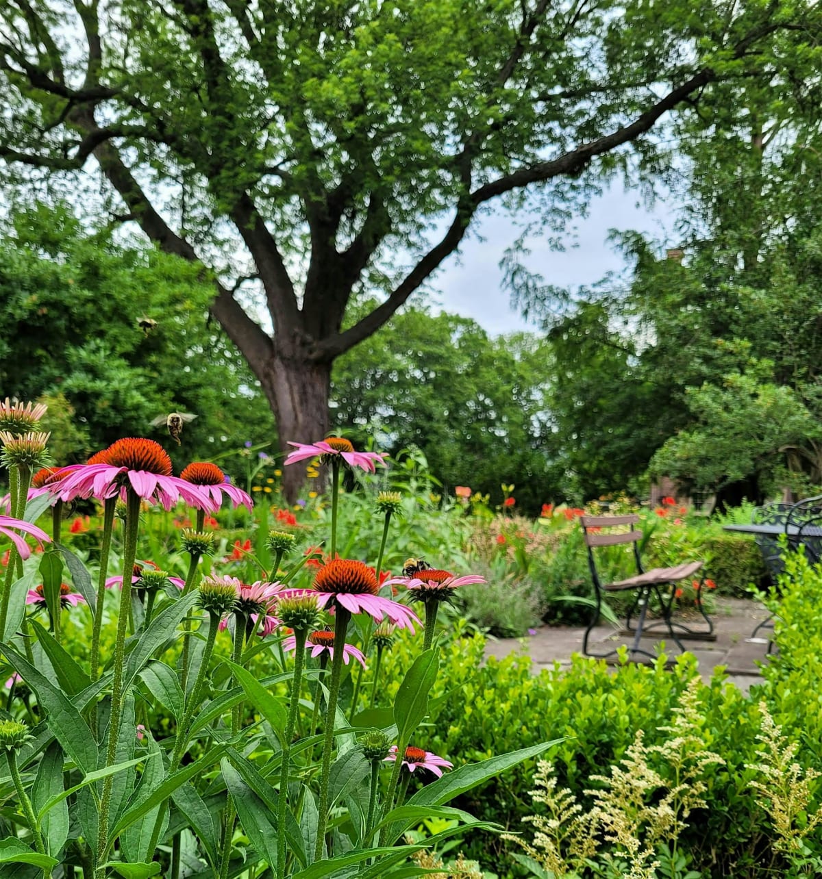 Ten Broeck Mansion Gardening & Community Days 2026