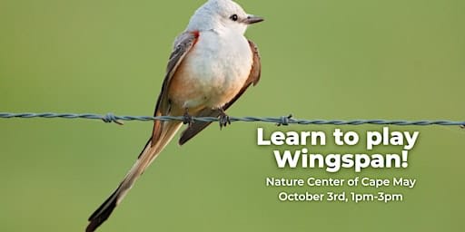 Learn to play Wingspan!