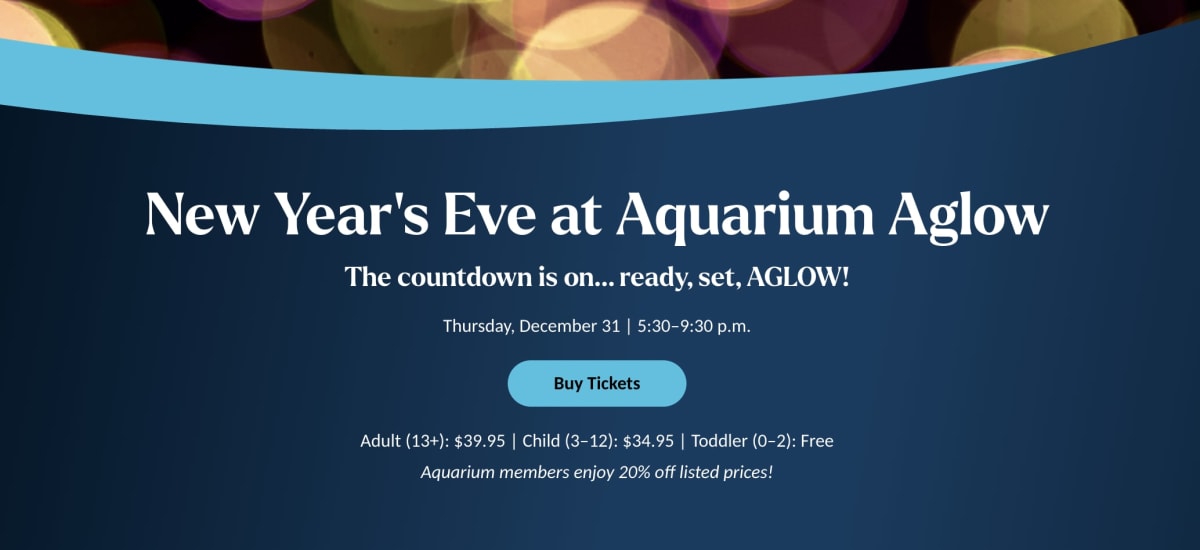 New Year's Eve at Aquarium Aglow