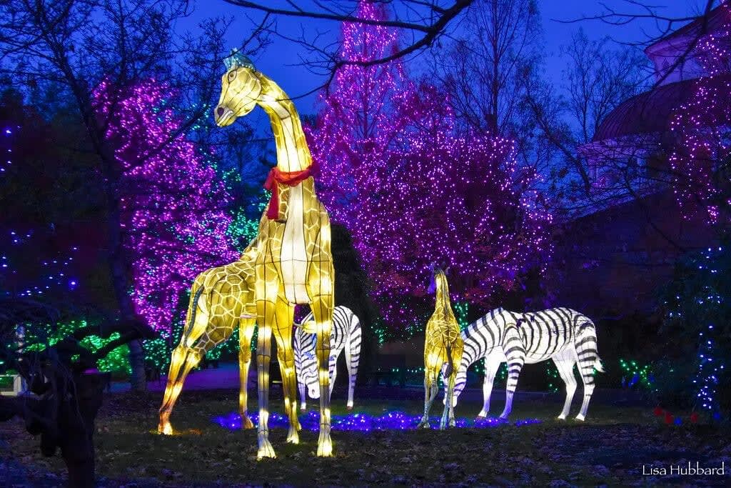 PNC Festival of Lights!