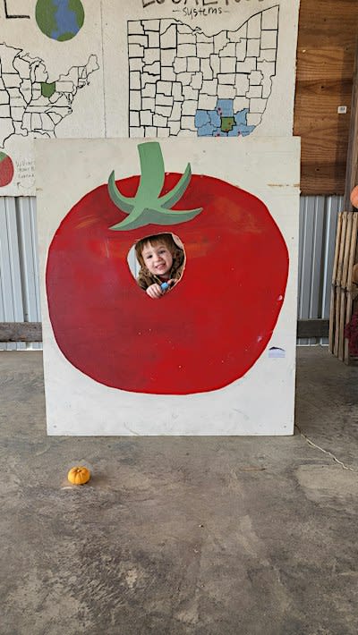 Chesterhill Harvest Festival