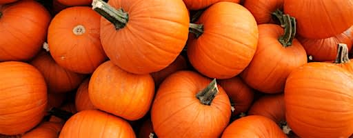 4-H Horticulture Club - Pumpkin Creations