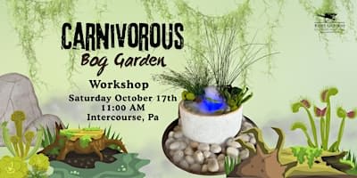 Carnivorous Bog Garden (Intercourse Location)