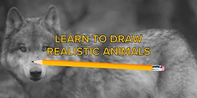 Drawing Animals Class: Wolf
