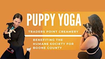Puppy Yoga at Traders Point Creamery - Downward Dog & Adoptable Puppies