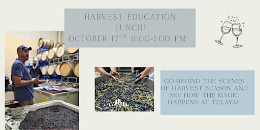 Harvest Education Lunch