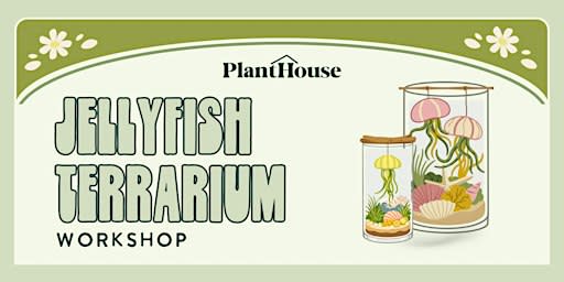 Jellyfish Terrarium Workshop