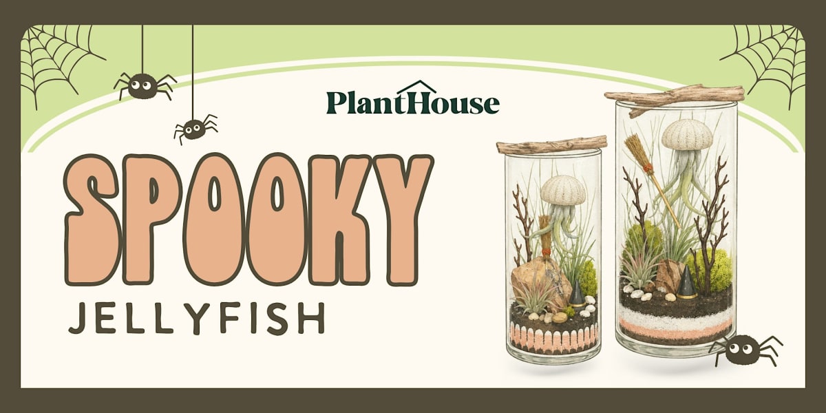 Spooky Jellyfish Terrarium Workshop