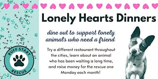 Lonely Hearts Dinner:  Noodles & Company - Maple Grove