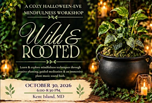 Wild & Rooted