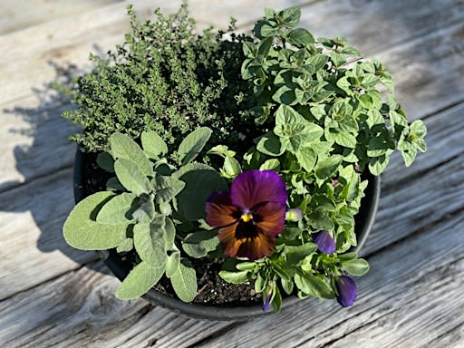 Herb Bowl Potting Workshop