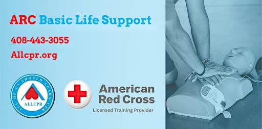 Red Cross Basic Life Support class in Wilmington