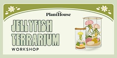 Jellyfish Terrarium Workshop
