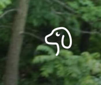 Beegan K9 Solutions