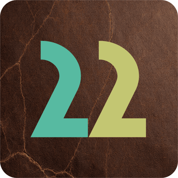 22 Visual Design